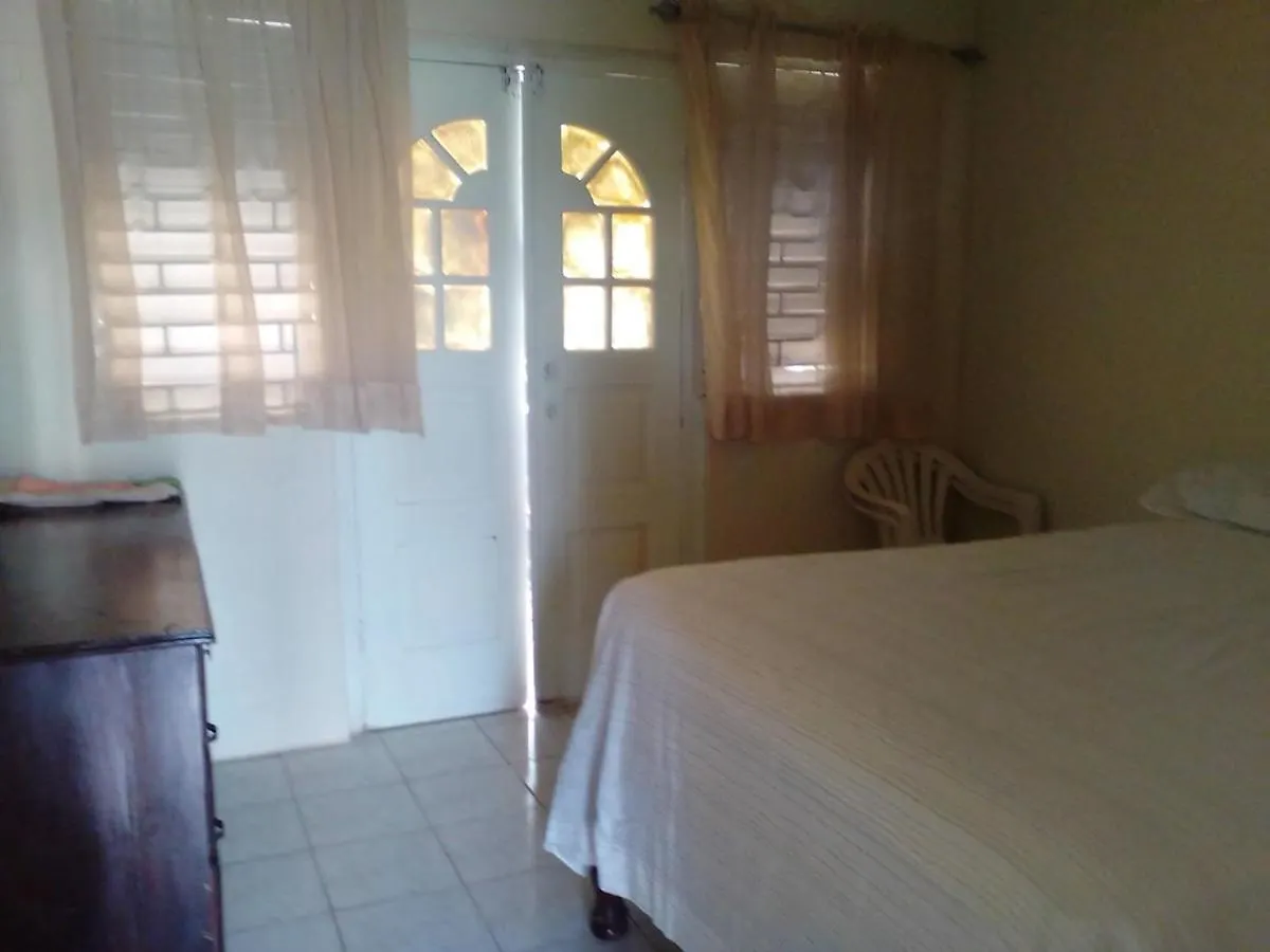 Lejlighed Cozy Queen Court Apt Constant Spring Road Kingston Jamaica